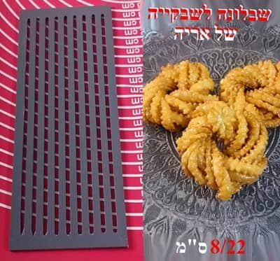שבלונה שבקייה מקצועית של אריה