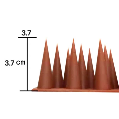 3.7 גובה שפיץ