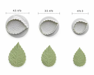 קורצנים קפיץ עלים עלי שלכת בשלושה גדלים